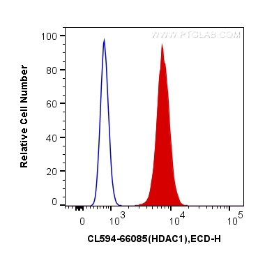 [CL594-66085-100UL] CoraLite®594-conjugated HDAC1 Monoclonal antibody