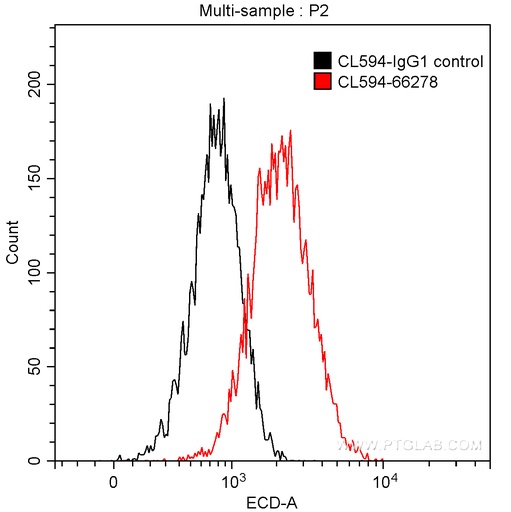 [CL594-66278-100UL] CoraLite®594-conjugated CDK6 Monoclonal antibody