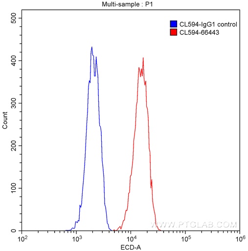 [CL594-66443-100UL] CoraLite®594-conjugated CD147 Monoclonal antibody