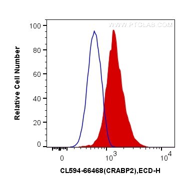 [CL594-66468-100UL] CoraLite®594-conjugated CRABP2 Monoclonal antibody