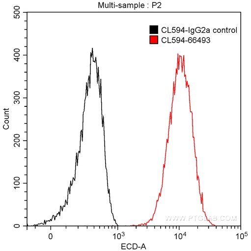 [CL594-66493-100UL] CoraLite®594-conjugated PKC Iota Monoclonal antibody