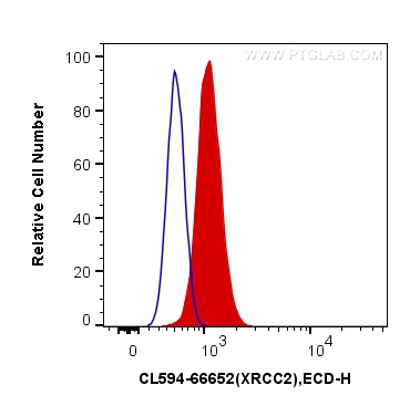 [CL594-66652-100UL] CoraLite®594-conjugated XRCC2 Monoclonal antibody