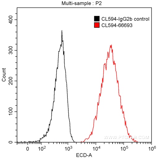[CL594-66693-100UL] CoraLite®594-conjugated CALD1 Monoclonal antibody