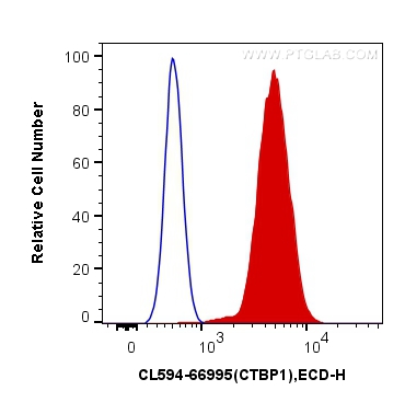 [CL594-66995-100UL] CoraLite®594-conjugated CTBP1 Monoclonal antibody