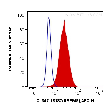 [CL647-15187-100UL] CoraLite®647-conjugated RBPMS Polyclonal antibody