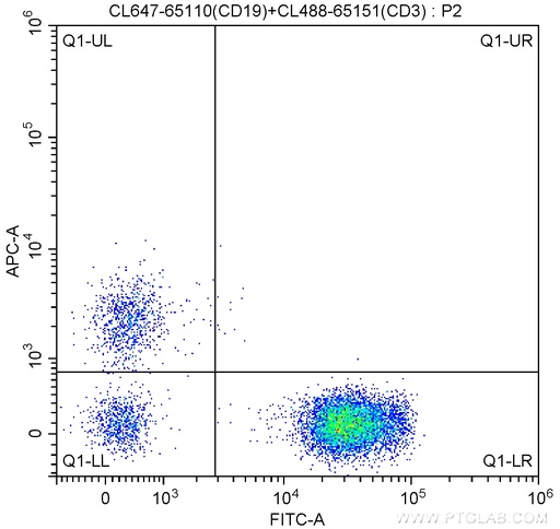 [CL647-65110-100TESTS] CoraLite®647 Anti-Human CD19 (HIB19)
