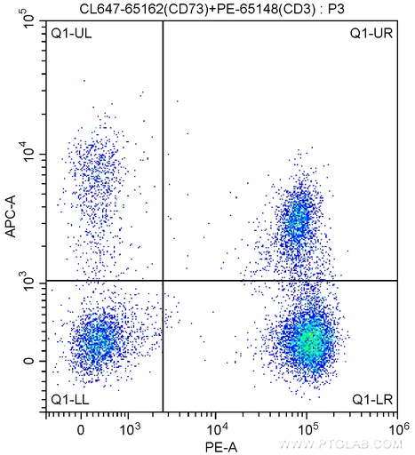 [CL647-65162-100TESTS] CoraLite®647 Anti-Human CD73 (AD2)