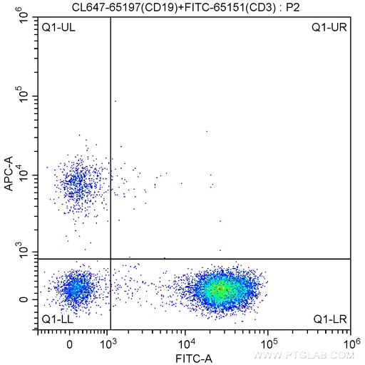 [CL647-65197-100TESTS] CoraLite®647 Anti-Human CD19 (4G7)