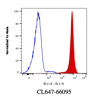 [CL647-66095-100UL] CoraLite®647-conjugated Lamin B1 Monoclonal antibody
