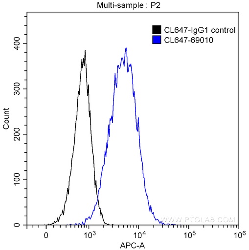 [CL647-69010-100UL] CoraLite®647-conjugated Noggin Monoclonal antibody