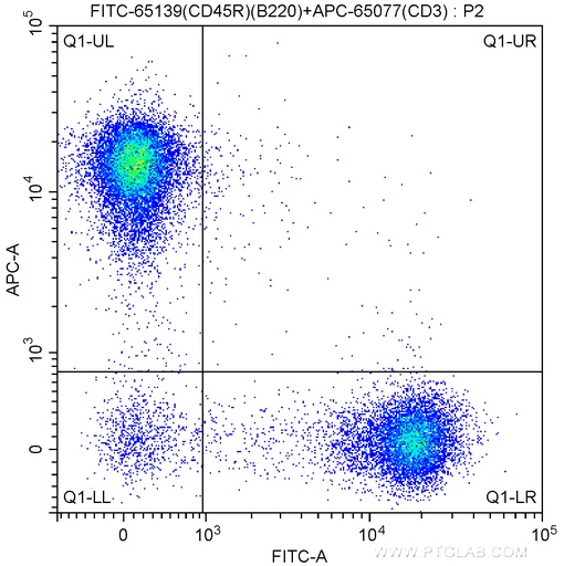 [FITC-65139-100UG] FITC Anti-Mouse CD45R (B220) (RA3-6B2)