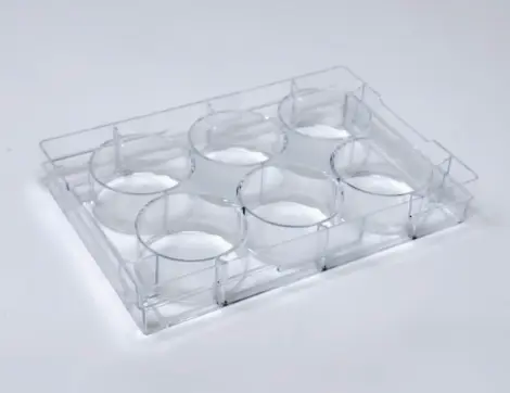 [2800113] CEROplate 6 well plate (F-bottom), ultra- low attachment (24x1 plate)