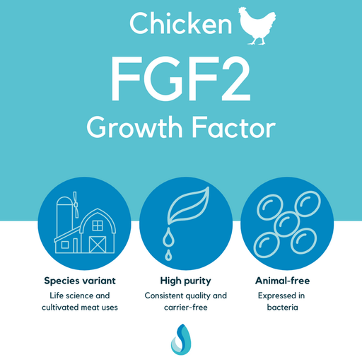 FGF2 (chicken) growth factor, LSR-202