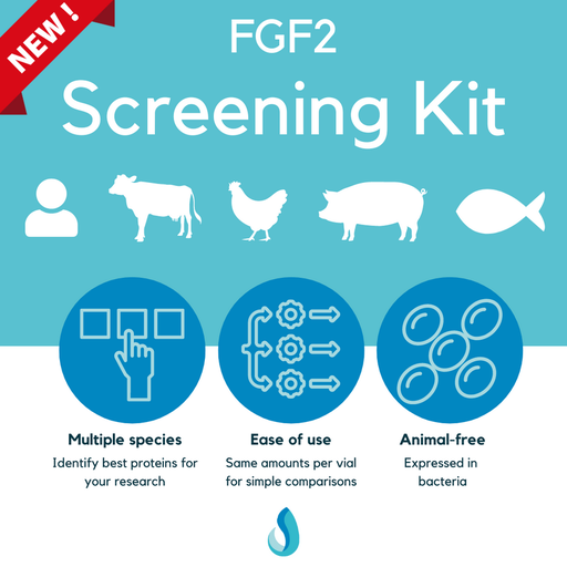 FGF2 screening kit, LSK-104