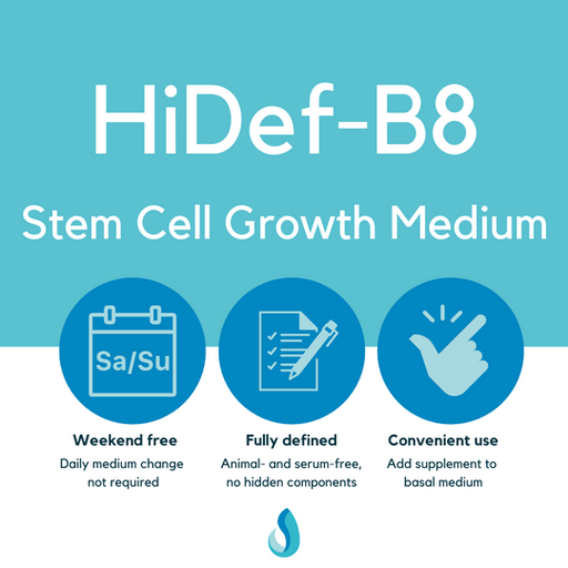 HiDef-B8 400X Supplement Stem Cell Medium, LSS-204