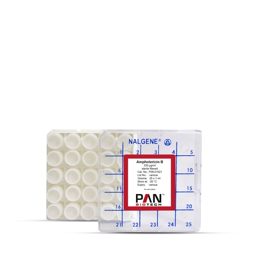 Amphotericin B, 250 µg/ml