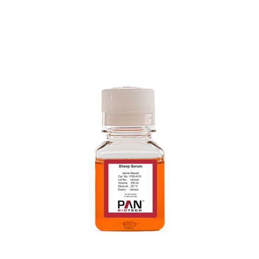 Sheep serum, sterile filtered
