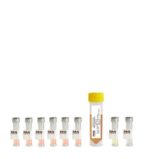 [P04-0010S] Endopan 3 Supplement Pack, 9 Supplements  Kit