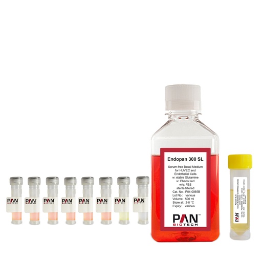 [P04-0065K] Endopan 300 SL - Serum-free medium for HUVEC and endothelial cells, 500 ml